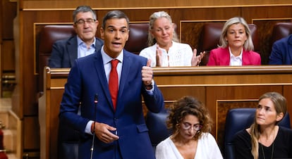 El presidente del Gobierno, Pedro Sánchez, durante la sesión de control celebrada este miércoles en el Congreso.