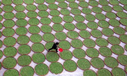 Una mujer camina por un secadero de hojas de té en Dening, provincia de Fujian, China.