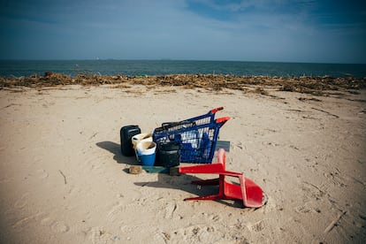 Objetos arrastrados tras el paso de la dana en la playa de El Saler, este martes. 