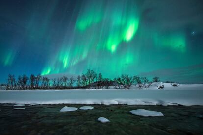 <b> <p> Auroras boreales en Islandia </b> </p> El año pasado, dos millones de turistas viajaron a Islandia atraídos por sus cascadas, glaciares, géiseres y volcanes. La mayoría escogen ir en verano, cuando los días son largos y las temperaturas moderadas. En invierno, las condiciones son más duras y muchas carreteras están cerradas, pero a cambio es posible bañarse en las aguas geotermales de la Laguna Azul mientras cae la nieve o presenciar una aurora boreal. En Reikiavik, el faro de Grótta o la colina del bosque de Oskjuhlid son dos buenos enclaves para observar este fenómeno. Algunos hoteles ofrecen un servicio de despertador si aparecen las luces del norte en plena noche. Norwegian vuela en invierno a Reikiavik desde Madrid y Barcelona a partir de 130 euros, ida y vuelta.