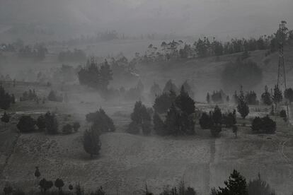 Ceniza del volcán Sangay sobre cultivos en el sector de Palmira, provincia de Chimborazo (Ecuador). Una intensa caída de ceniza volcánica se registró este domingo en cinco poblados de la provincia ecuatoriana de Chimborazo, situada en la zona andina del país, según informó el Servicio Nacional de Gestión de Riesgos y Emergencias (SNGRE). La ceniza proviene del volcán Sangay que, desde las 04.20 (hora local, 09.20 GMT) registra sismos "que muestran la ocurrencia de explosiones y emisiones de ceniza mucho más energéticas que en meses anteriores".