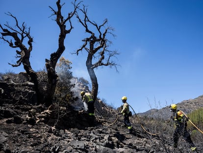 Tres bomberos trabajan en una zona calcinada de Colera, este sábado.