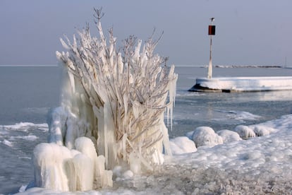 Un arbusto cubierto de hielo a orillas del lago Balaton en Fonyod, a 153 kilómetros al suroeste de Budapest (Hungría), donde se registran temperaturas bajo cero.