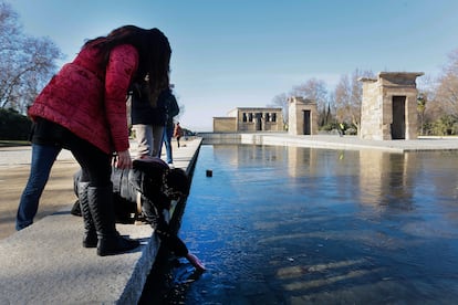 Dos jóvenes juegan con el hielo formado en el estanque del Templo de Debod, en enero de 2017.