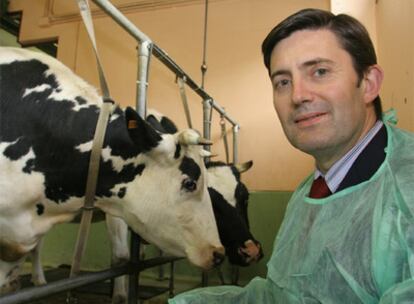 Samuel Juárez, titular de Medio Rural, junto a dos vacas en la Facultad de Veterinaria de Lugo.