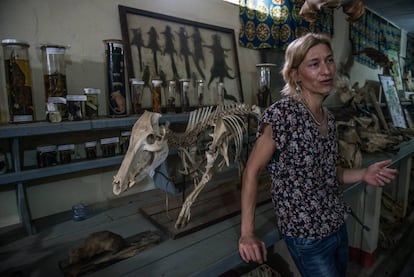 Anne Laudisoit en el museo natural de la Universidad de Kisangani.