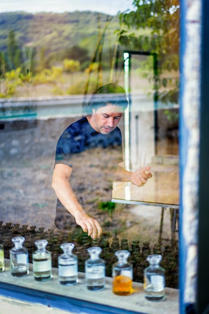 Aurélien Guichard en su laboratorio en medio del campo, a 10 kilómetros de Grasse y a diez pasos de sus plantaciones de rosa y nardo, examina los frascos de sus últimas creaciones. 