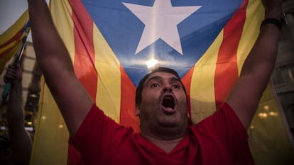 Protester in support of Catalan independence.