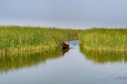 Las marismas de Mesopotamia.