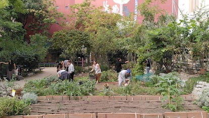 Esta Es una Plaza, situada en el madrileño barrio de Lavapiés, iniciativa vecinal de huerto urbano más orientada a la pedagogía que al autoconsumo.