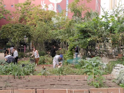 Esta Es una Plaza, situada en el madrileño barrio de Lavapiés, iniciativa vecinal de huerto urbano más orientada a la pedagogía que al autoconsumo.