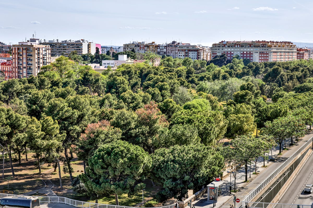 Valencia, la capital verde europea más desapercibida | Clima y Medio Ambiente