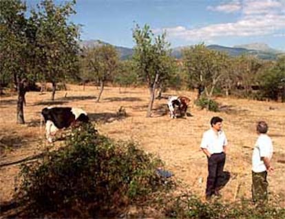 Terrenos heredados por el Ayuntamiento de Los Molinos en los que quiere instalar un depósito de gas.