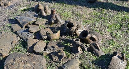 Restos de ánforas halladas en el Paraje Marismas del Odiel.