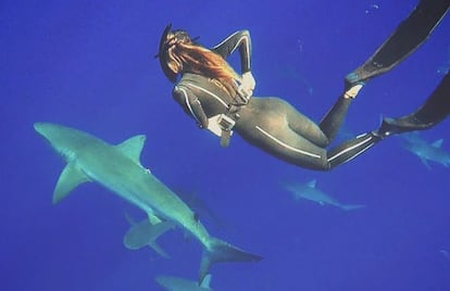 Gádor Muntaner, buceando entre tiburones.