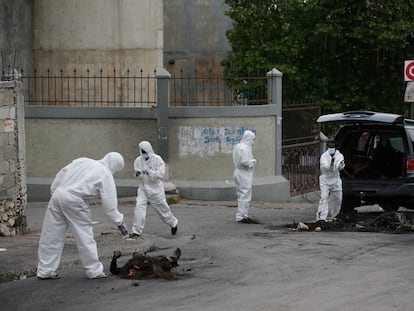 Autoridades de Haití recogen los cuerpos de los hombres linchados en Puerto Príncipe, Haití, el 25 de abril 2023.