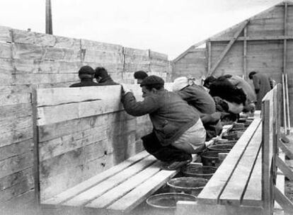 Refugiados republicanos en las letrinas <i>industriales</i> del campo de concentración de Bram, en 1939.