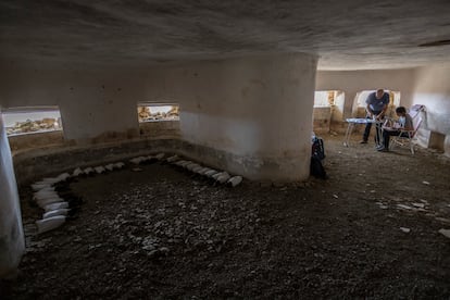 Once captured, the birds are transported to the bunker, where they undergo various tests.