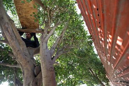 Joaquín, un chef de Guatemala, se ha construido su propia casa en un árbol próximo a la valla fronteriza que separa Estados Unidos y México, a las afueras de Tijuana (México).