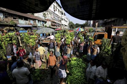 Unos trabajadores acarrean plátanos en el mayor y más concurrido mercado de frutas al por mayor en Calcuta (India).