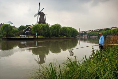 En Gaoqiao, ciudad levantada a las afueras de Shanghái, el ambiente copia los paisajes de Holanda.