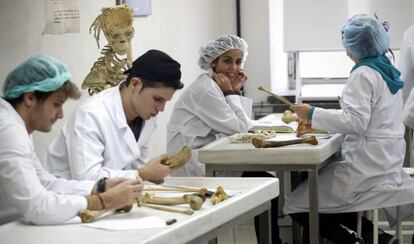 Clase de anatom&iacute;a en la Universidad Complutense de Madrid.