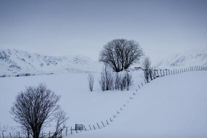 Blanco y negro en los Alpes de Lyngen, al este de Tromsø (Noruega).