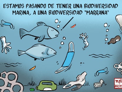 La nueva biodiversidad, por Malagón