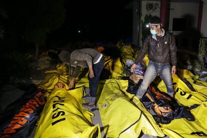 Varios hombres controlan los cuerpos de las víctimas del terremoto y el tsunami mientras buscan a sus familiares en un hospital de la policía en Palu, el 29 de septiembre.