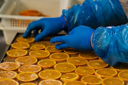Una de las trabajadoras de la empresa NaturSnacks coloca rodajas de naranja en una bandeja.