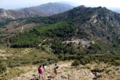 Vista de la sierra Blanca.