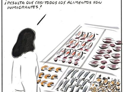 El Roto