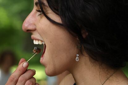 Ante la llegada masiva de los insectos, algunos han optado por comérselos. En la imagen, una mujer degusta una cigarra durante el "Cigarrafest", en Crofton, Maryland, el pasado 17 de mayo. Los que las han probado dicen que su sabor se asemeja al tofu.