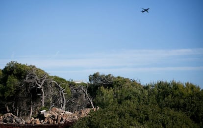 Tala d'arbres al terreny on s'han de construir els pisos, a Gavà.