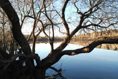 Laguna del Campillo, en el Parque Regional del Sureste (Rivas Vaciamadrid, Madrid).