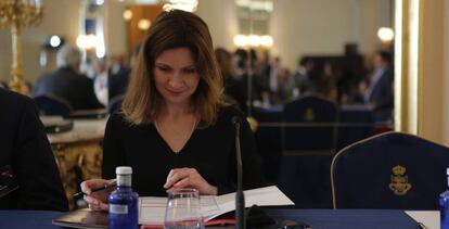 Mihaela Carpus-Carcea, representante de la Comisión Europea