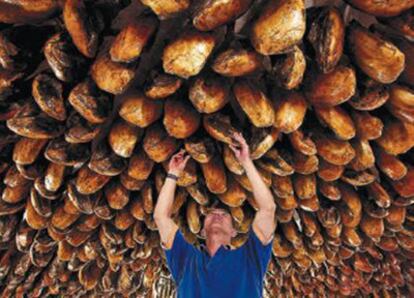 Secadero de jamones ibéricos de La Jamonería, en Jerez de los Caballeros.