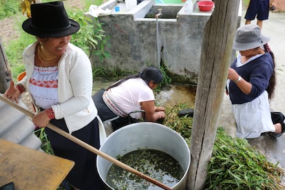 Varias mujeres de La Calera, en Ecuador, preparan geles desinfectantes a base de plantas durante la crisis del coronavirus.