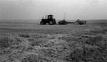 Un tractor arrastra otro tipo de maquinaria en un campo de cereales.
/ RAÚL CANCIO