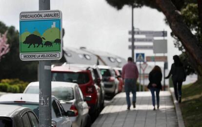 Señales de aviso de jabalíes en Torrelodones.