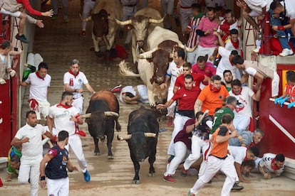 Los morlacos entran en la plaza de toros de Pamplona, este viernes. 
