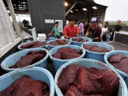 Imagen de archivo que muestra a trabajadores japoneses cargando un camión con carne de ballena en el puerto de Wada, en Chiba, Japón.