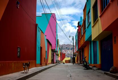 Un perro camina por las calles de La Paz, en Bolivia.