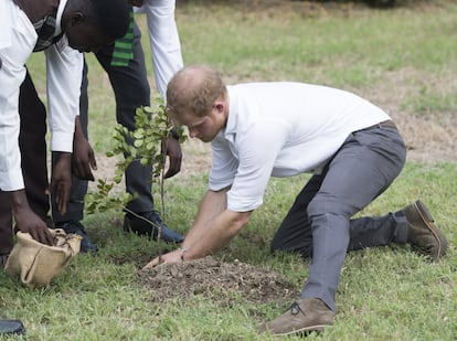 El príncipe planta un árbol durante una visita al Jardín Botánico del Parque Victoria.