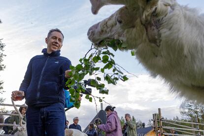 An attendee at the Midnight Sun Film Festival feeds a reindeer, in the town of Sodankylä, in an image provided by the festival.