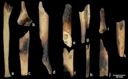 Hallados restos de canibalismo en Atapuerca hace 5.500 años