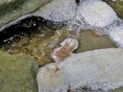 Restos de purines en el torrente de las Paganes, en Esquirol Santa Maria de Corc&oacute;. 