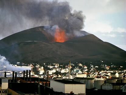 Volver a la vida tras una erupción