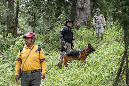Grupos de búsqueda en el Ajusco, el 25 de julio.