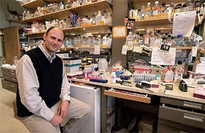 Juan Carlos Izpisúa, en su laboratorio de investigación en Salk (California).